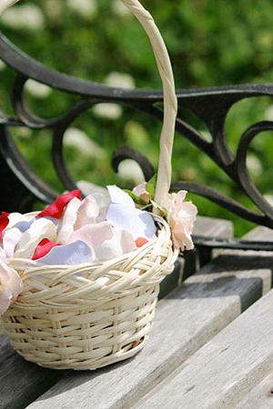 ハワイウェディングの衣装選びは福岡で