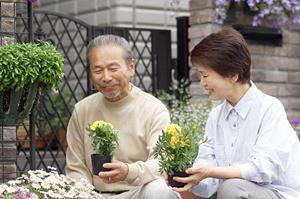 立川で信頼できる結婚相談所を選ぶためのポイントと成功事例の紹介