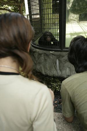 フィリピン女性との国際結婚を支援する所