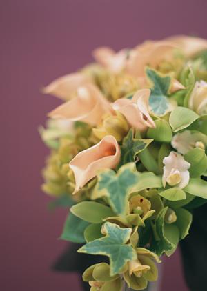 入間市にある結婚相談所がおすすめです